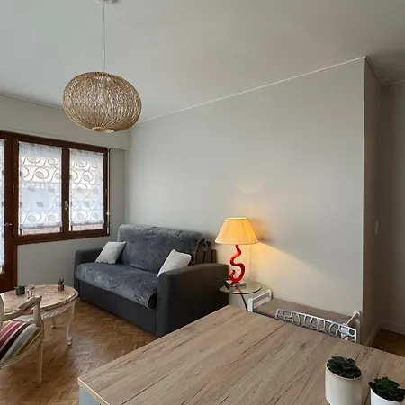Apartment Moderne T2 Avec Balcon, Parking Et Wifi, Animaux Admis - Fr-1-555-109